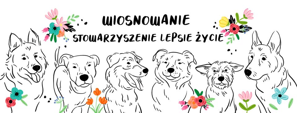 Wiosnowanie Stowarzyszenie LePsieżycie schronisko miedary