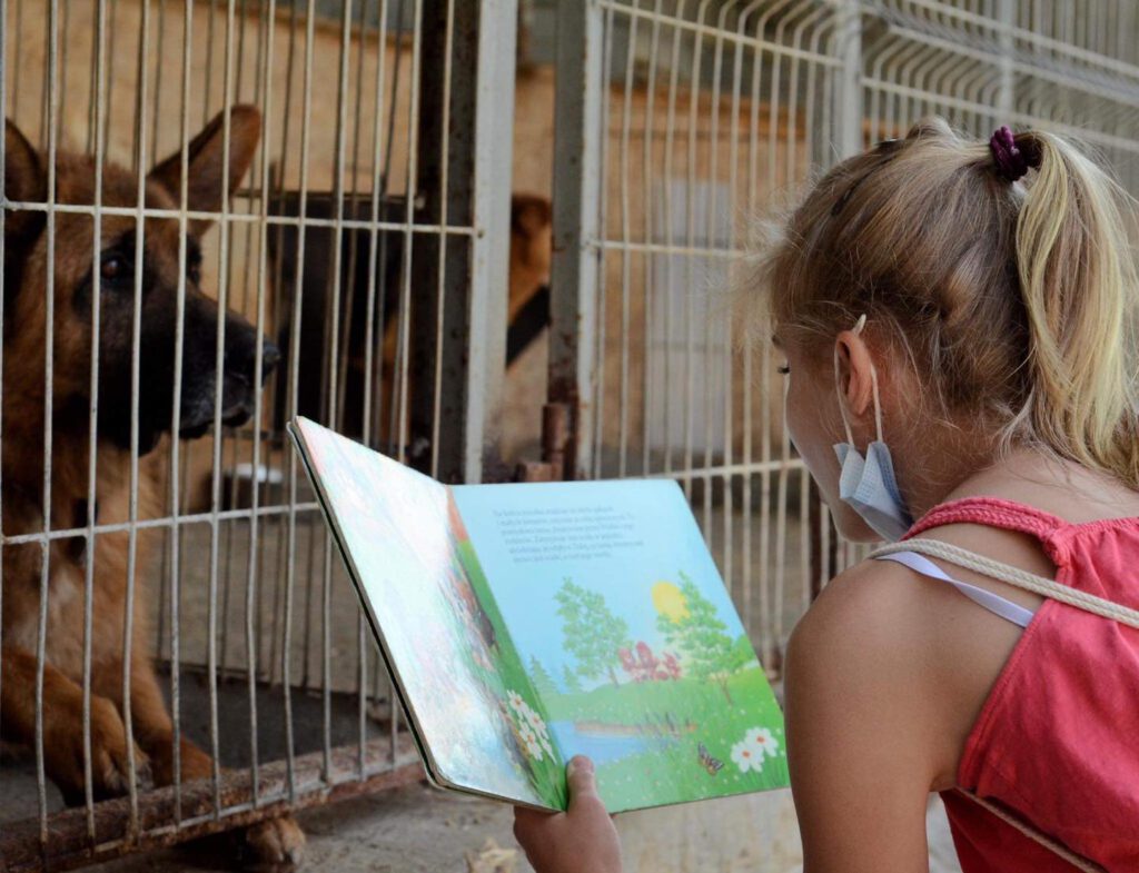 Ogólnopolski dzień dogoterapii i niecodzienna akcja w schronisku Stowarzyszenie LePsieżycie schronisko miedary