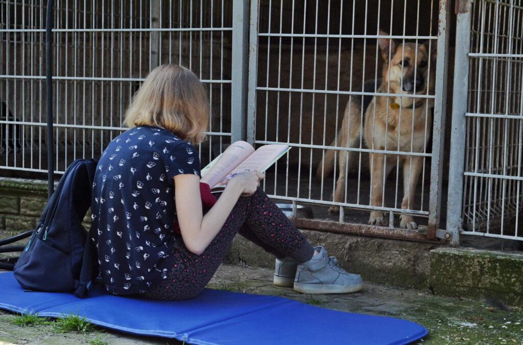 Ogólnopolski dzień dogoterapii i niecodzienna akcja w schronisku Stowarzyszenie LePsieżycie schronisko miedary