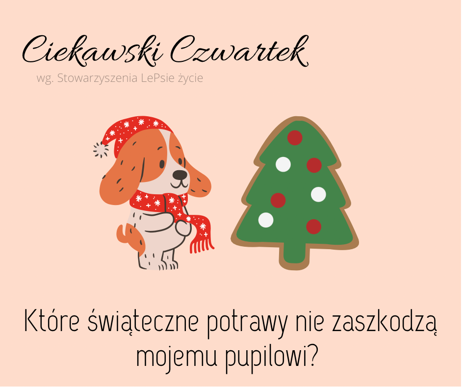 Ciekawski Czwartek | Które świąteczne potrawy nie zaszkodzą pupilowi