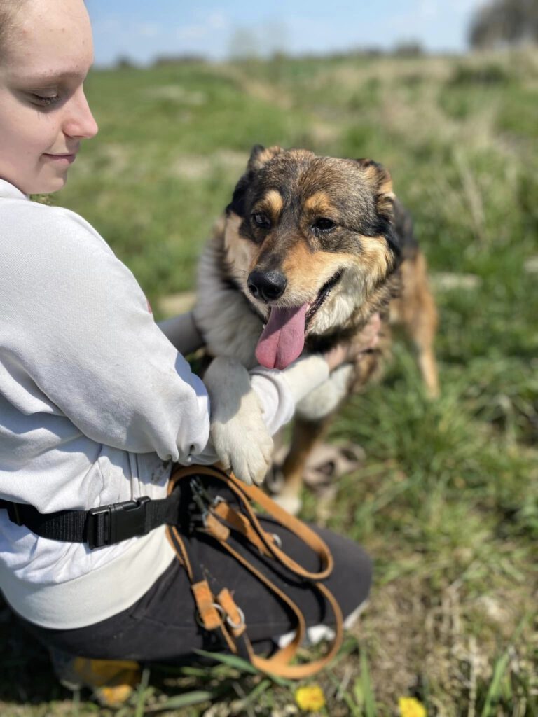 Tiramisu Stowarzyszenie LePsieżycie schronisko miedary