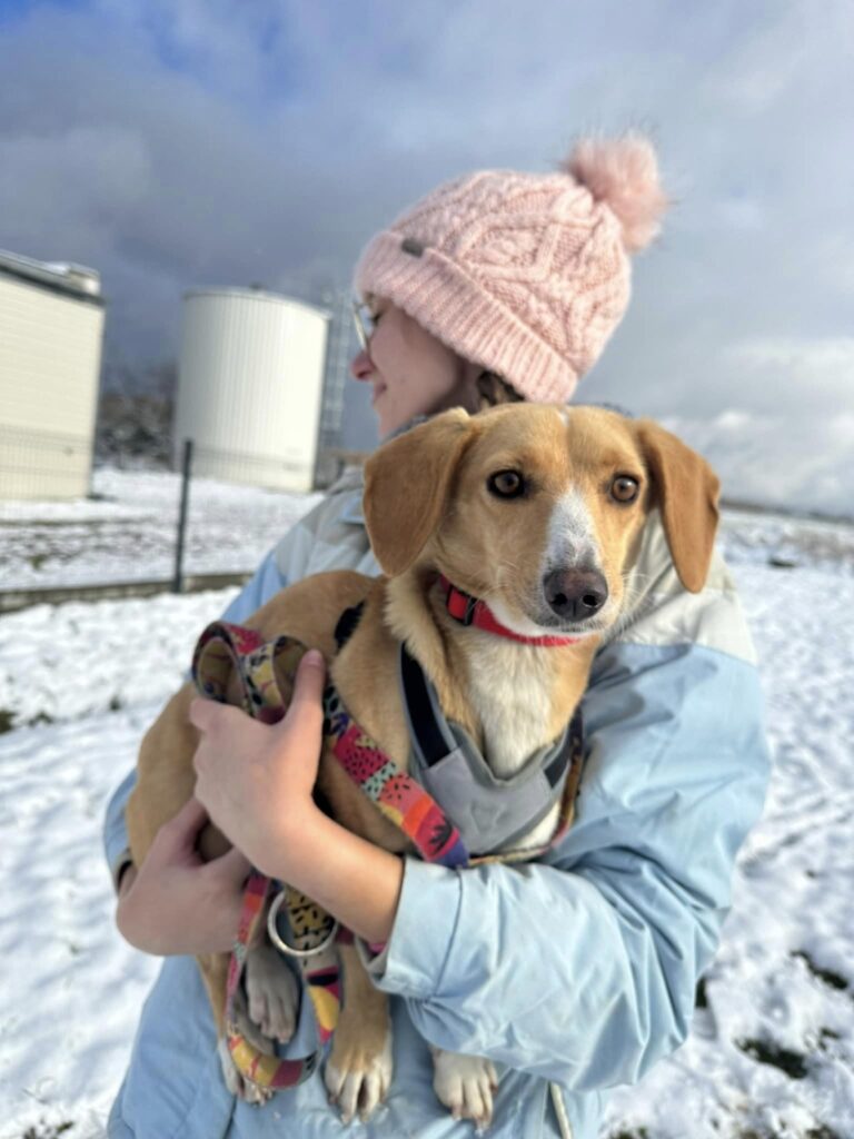 Daisy Stowarzyszenie LePsieżycie schronisko miedary